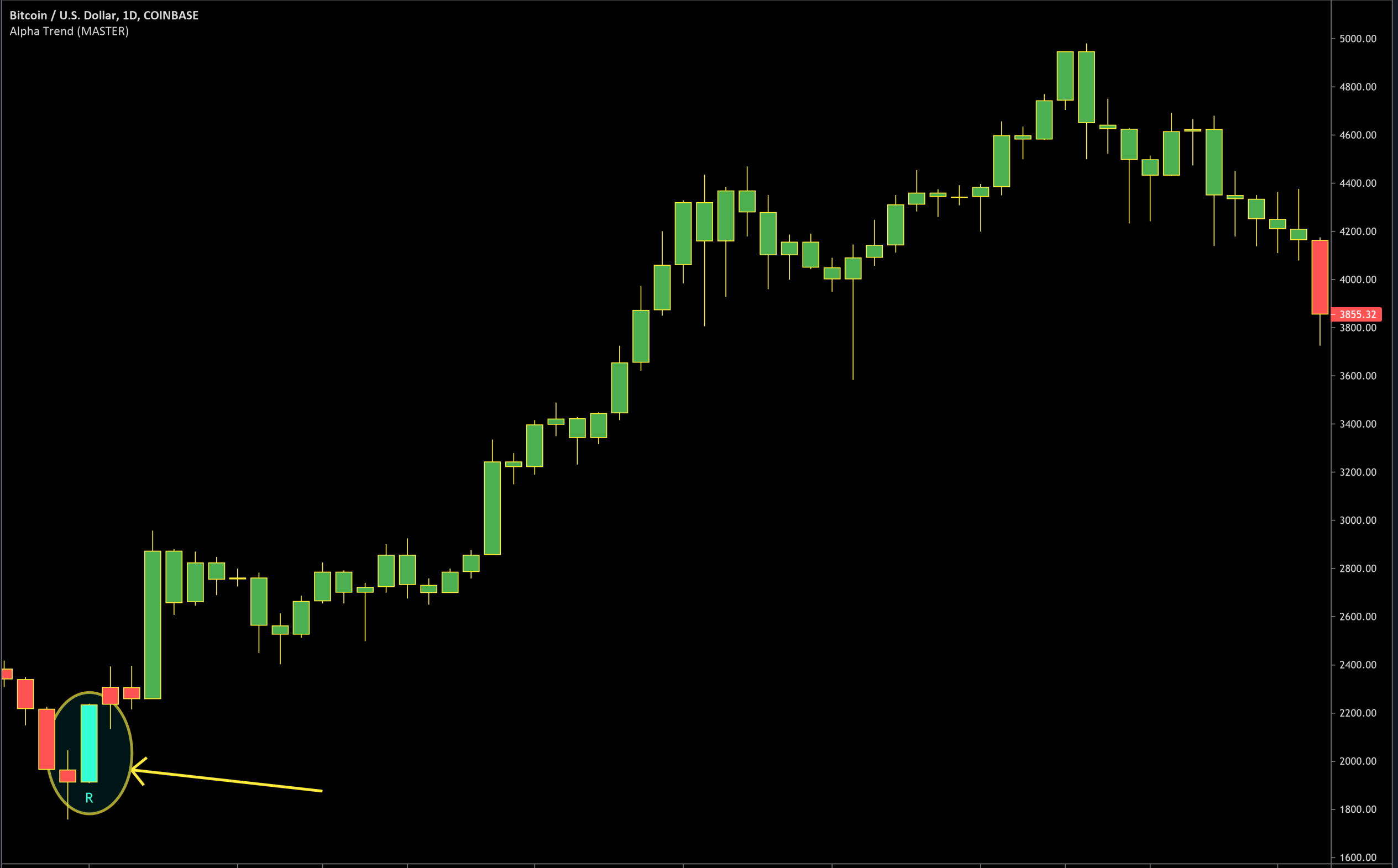 Historical Bitcoin daily chart with the turquoise bullish reversal candle circled